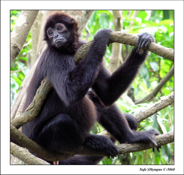 2005 - 06 - Zoo 107.JPG